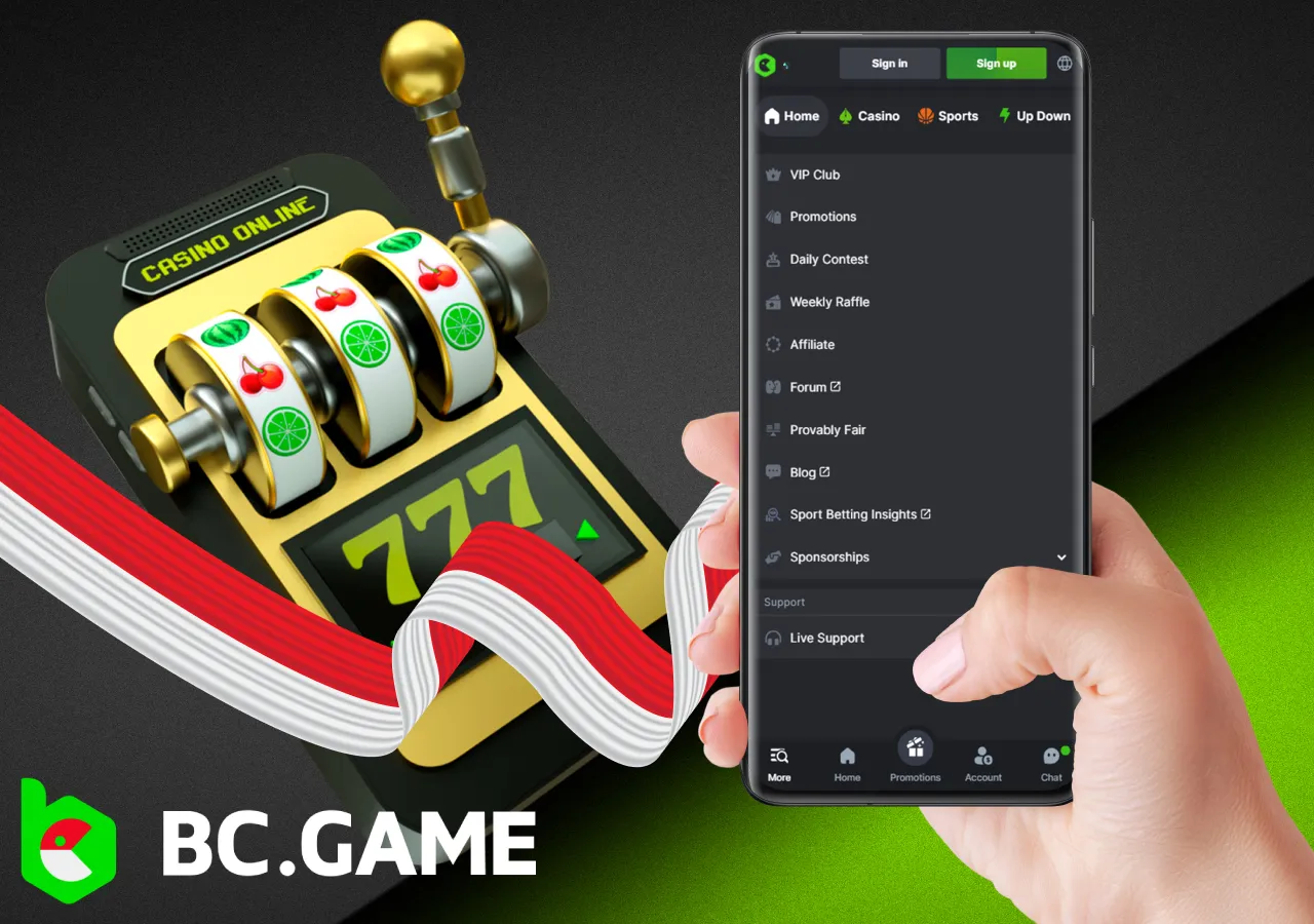 Review of the BC Game bookmaker app