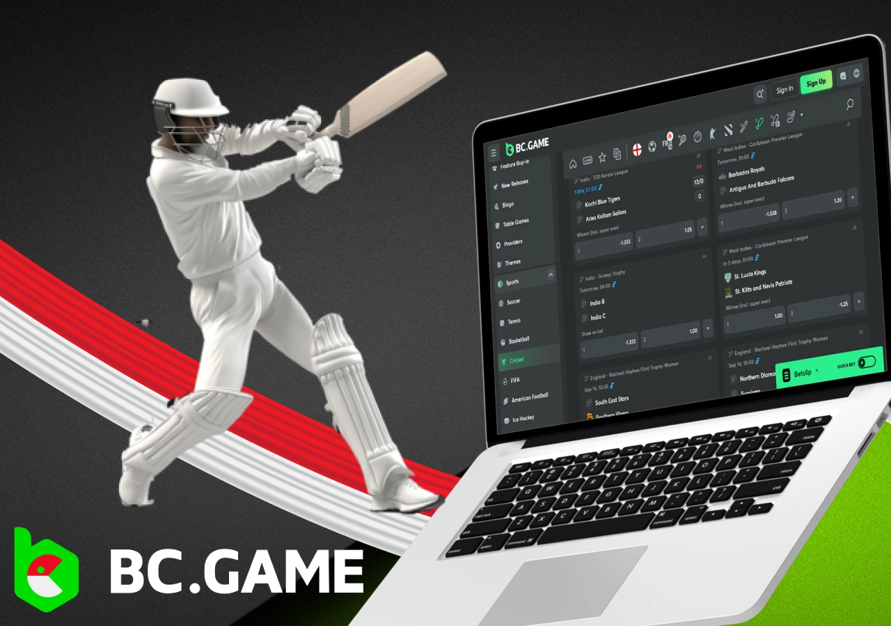 Detailed information about betting on cricket games